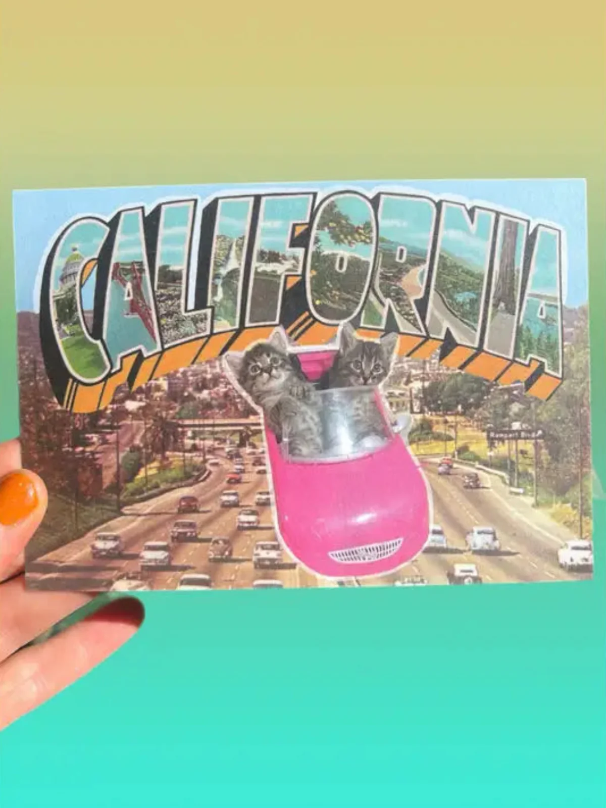 California Freeway Cats Postcard