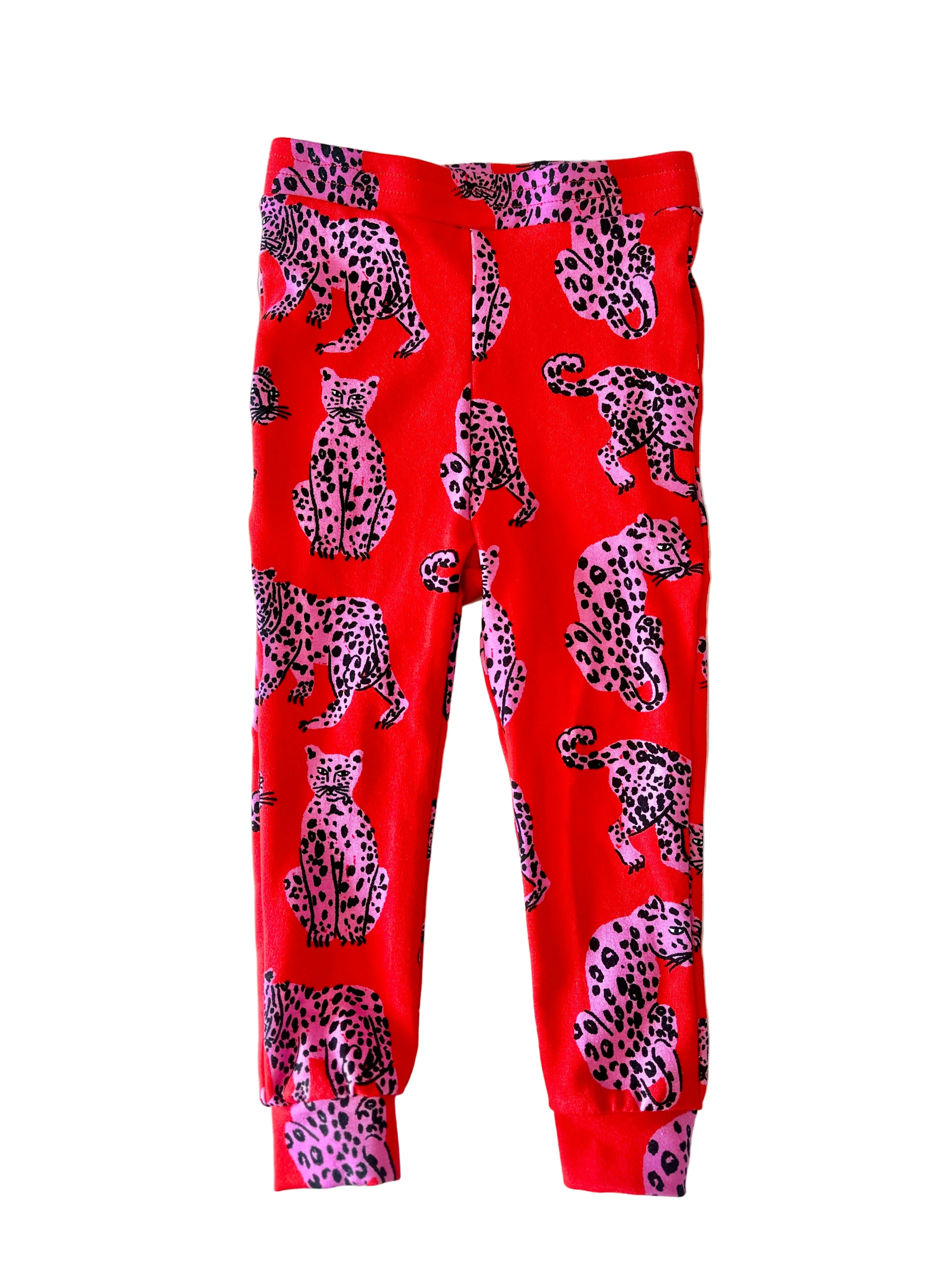 Kids Jogger Sondler Cat - Image 2
